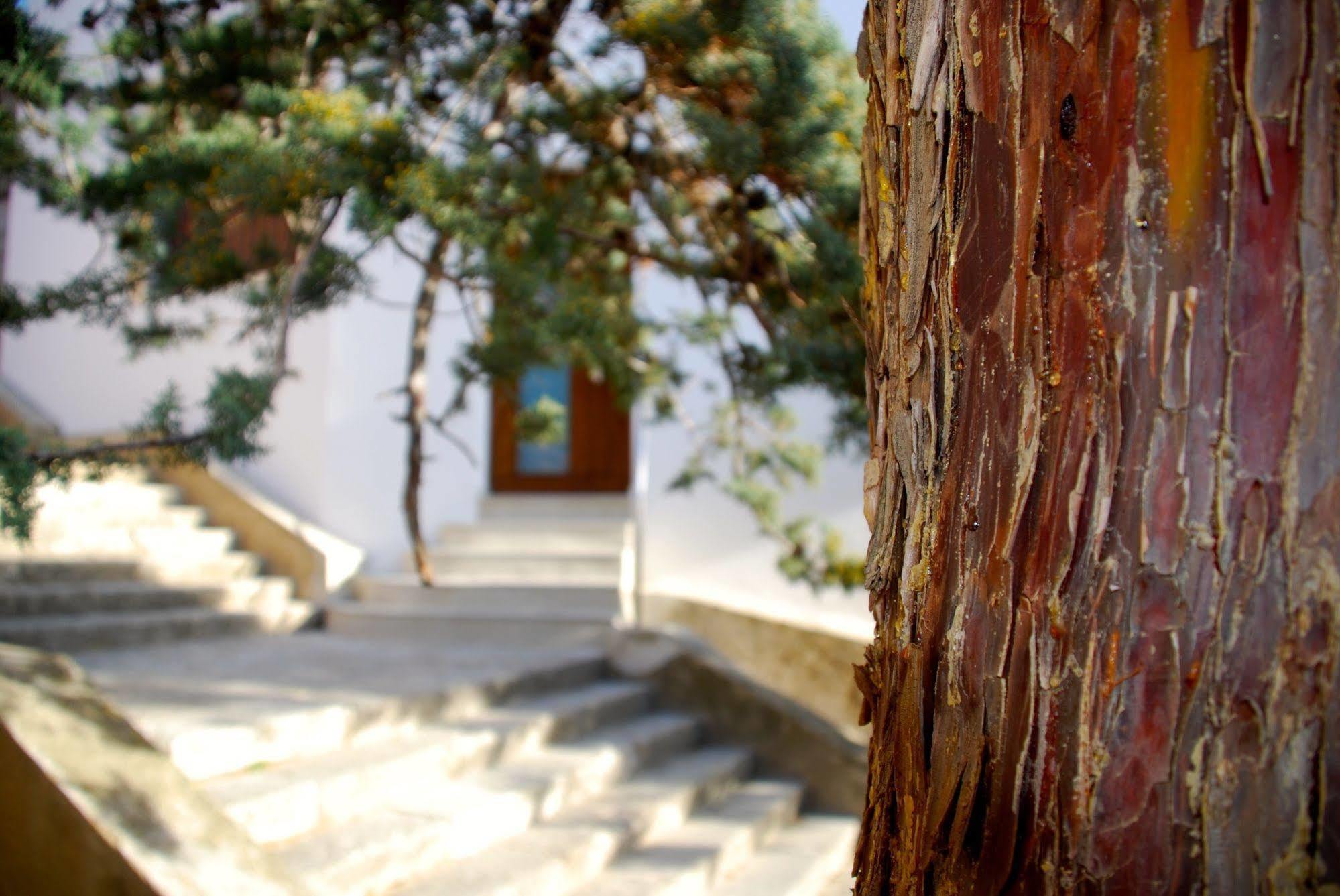 Apartamento Rural Castillo De Yeste 2 Pax (Adults Only) Exteriör bild